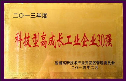 2013年度科技型高成長工業企業30強