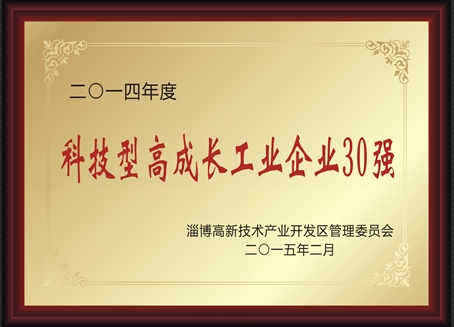 2014年度科技型高成長工業企業30強