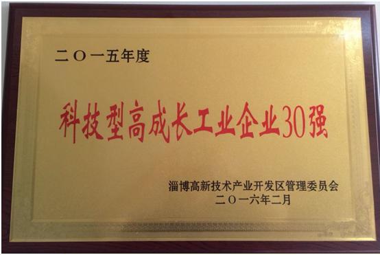 2015年度科技型高成長工業企業30強